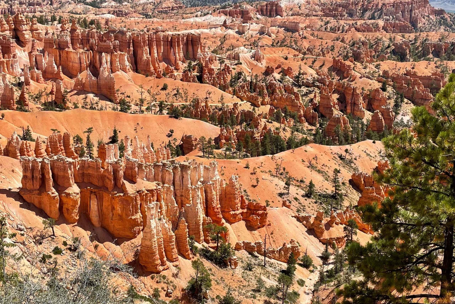 Depuis Las Vegas : Excursion d'une journée dans le parc national de Bryce Canyon et Zion
