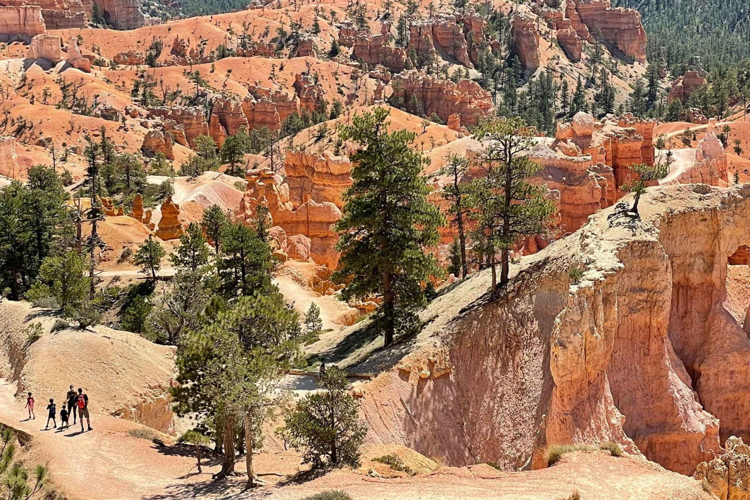 Depuis Las Vegas : Excursion d'une journée dans le parc national de Bryce Canyon et Zion