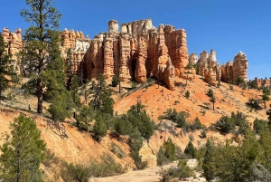 De Las Vegas: Viagem de 1 dia ao Bryce Canyon e ao Parque Nacional de Zion