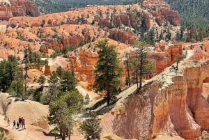 Depuis Las Vegas : Excursion d'une journée dans le parc national de Bryce Canyon et Zion