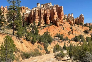 Depuis Las Vegas : Excursion d'une journée dans le parc national de Bryce Canyon et Zion