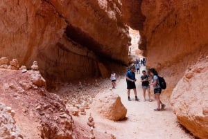 Fra Las Vegas: Bryce, Zion og Grand Canyon 3-dages tur