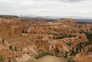 Fra Las Vegas: Bryce, Zion og Grand Canyon 3-dages tur