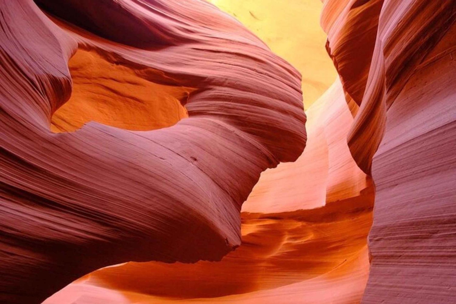 Vanuit Las Vegas: dagtrip naar Antelope