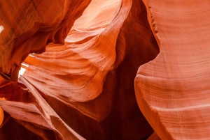 De Las Vegas: viagem de 1 dia para Antelope