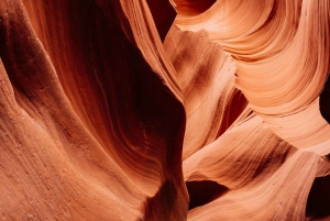 De Las Vegas: viagem de 1 dia para Antelope