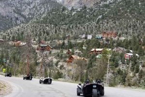 Desde Las Vegas: excursión de día a Mount Charleston Resort