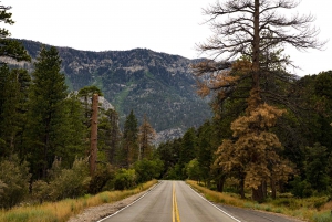 Desde Las Vegas: excursión de día a Mount Charleston Resort