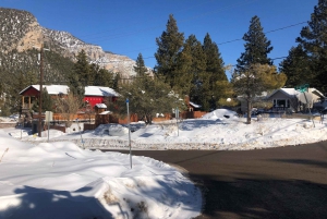 Desde Las Vegas: excursión de día a Mount Charleston Resort