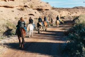 Da Las Vegas: Passeggiata a cavallo al tramonto nel deserto con cena BBQ