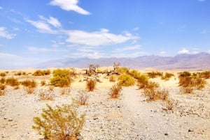 Da Las Vegas: Escursione di un giorno nella città fantasma del selvaggio West