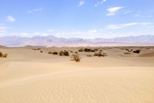 Von Las Vegas aus: Ghost Town Wild West Adventures Tagestour