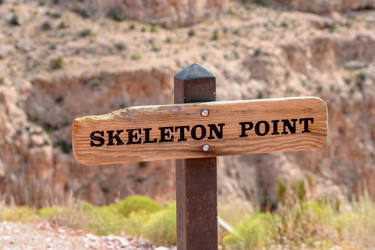 Desde Las Vegas Excursión nocturna al Gran Cañón