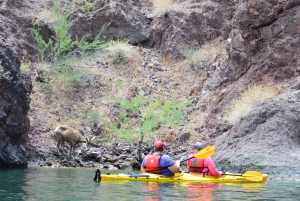 Desde Las Vegas Excursión guiada en kayak por la Cueva Esmeralda