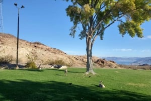 Las Vegasista: Hoover Dam Small Group Tour