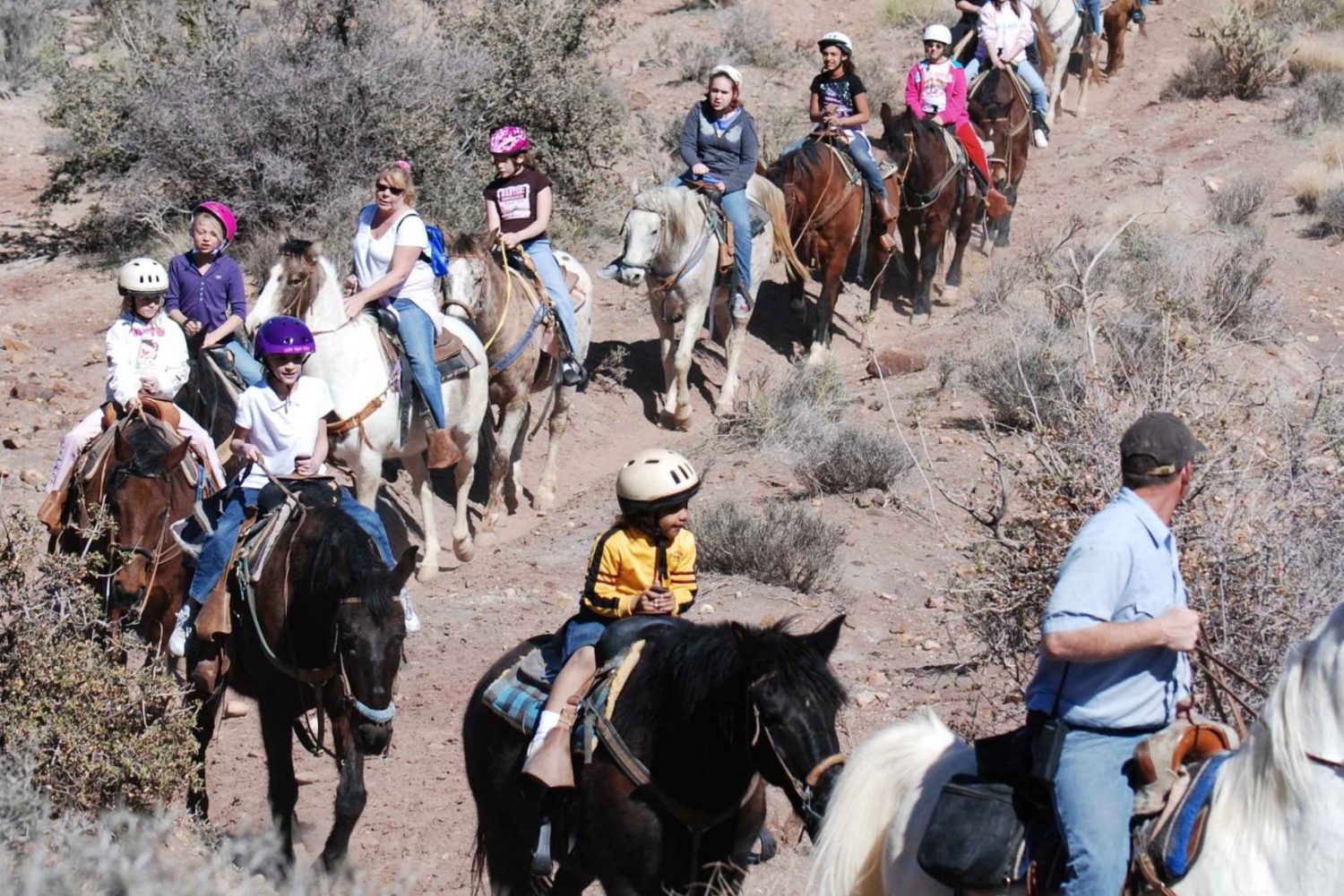Fra Las Vegas: Maverick Ranch Morgenmad og ridetur
