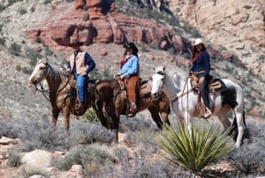 Vanuit Las Vegas: ontbijt en paardrijden Maverick Ranch