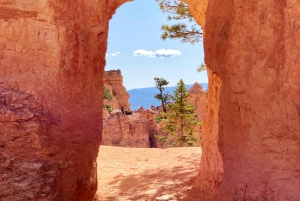 Из Лас-Вегаса: частный пеший тур по Брайс-Каньону