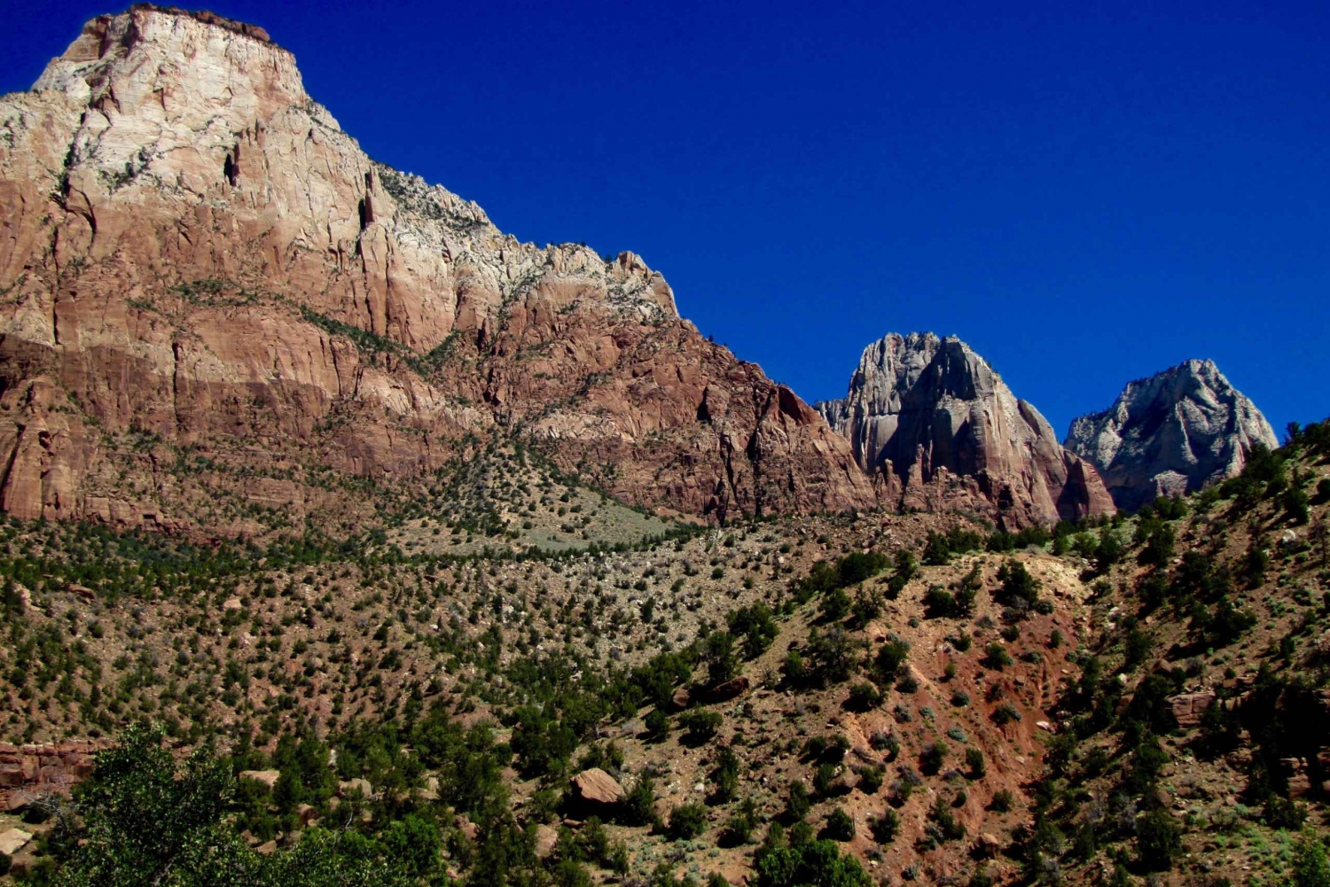 Desde Las Vegas: Excursión Privada en Grupo al Parque Nacional de Zion