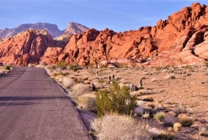 Vanuit Las Vegas: elektrische fietsverhuur Red Rock Canyon