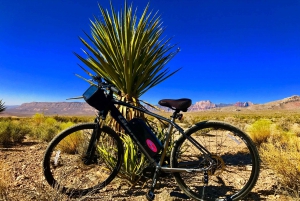 De Las Vegas: aluguel de bicicleta elétrica no Red Rock Canyon