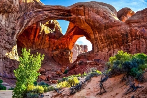 Vanuit Las Vegas: Red Rock Canyon kleine groepstour