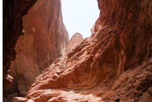 Vanuit Las Vegas: Red Rock Canyon kleine groepstour