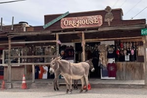 Fra Las Vegas: Guidet tur til historiske steder langs Route 66