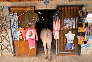 Fra Las Vegas: Guidet tur til historiske steder langs Route 66