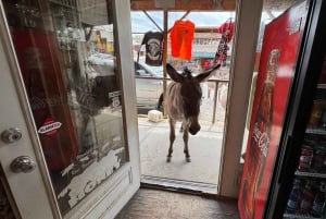 Fra Las Vegas: Guidet tur til historiske steder langs Route 66