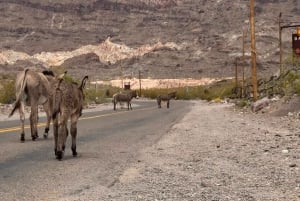 Fra Las Vegas: Guidet tur til historiske steder langs Route 66
