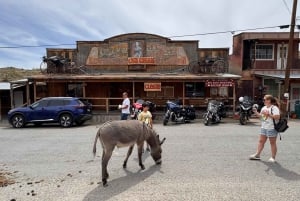 Fra Las Vegas: Guidet tur til historiske steder langs Route 66