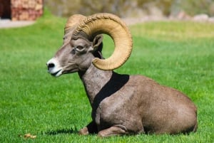 Las Vegasista: Maisemallinen pako Emerald Lake Colorado River