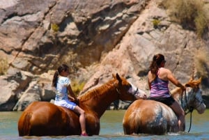 Las Vegasista: Maisemallinen pako Emerald Lake Colorado River