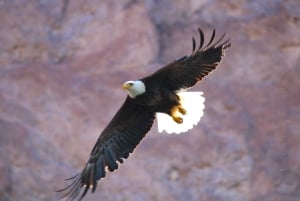 Las Vegasista: Maisemallinen pako Emerald Lake Colorado River