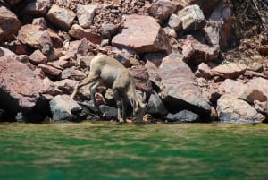 Las Vegasista: Maisemallinen pako Emerald Lake Colorado River
