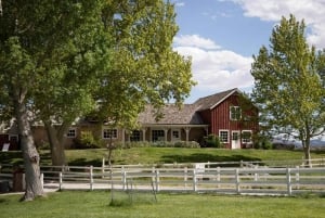 From Las Vegas: Spring Mountain Ranch Hike and House Visit