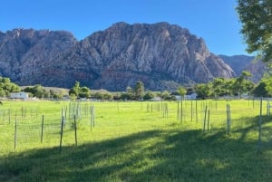 From Las Vegas: Spring Mountain Ranch Hike and House Visit