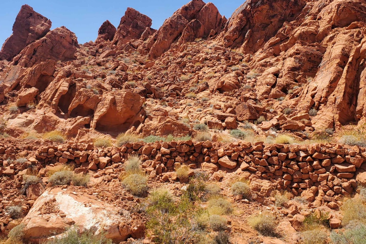 Las Vegasista: Las Vegas: Valley of Fire Small Group Tour