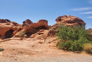 Las Vegasista: Las Vegas: Valley of Fire Small Group Tour