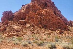 Las Vegasista: Las Vegas: Valley of Fire Small Group Tour