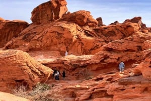 Depuis Las Vegas : excursion guidée d'une journée au parc d'État de Valley of Fire