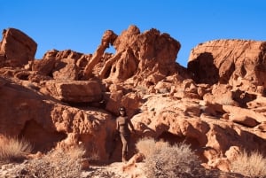 Depuis Las Vegas : excursion guidée d'une journée au parc d'État de Valley of Fire
