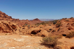 From Las Vegas: Valley of Fire State Park Tour