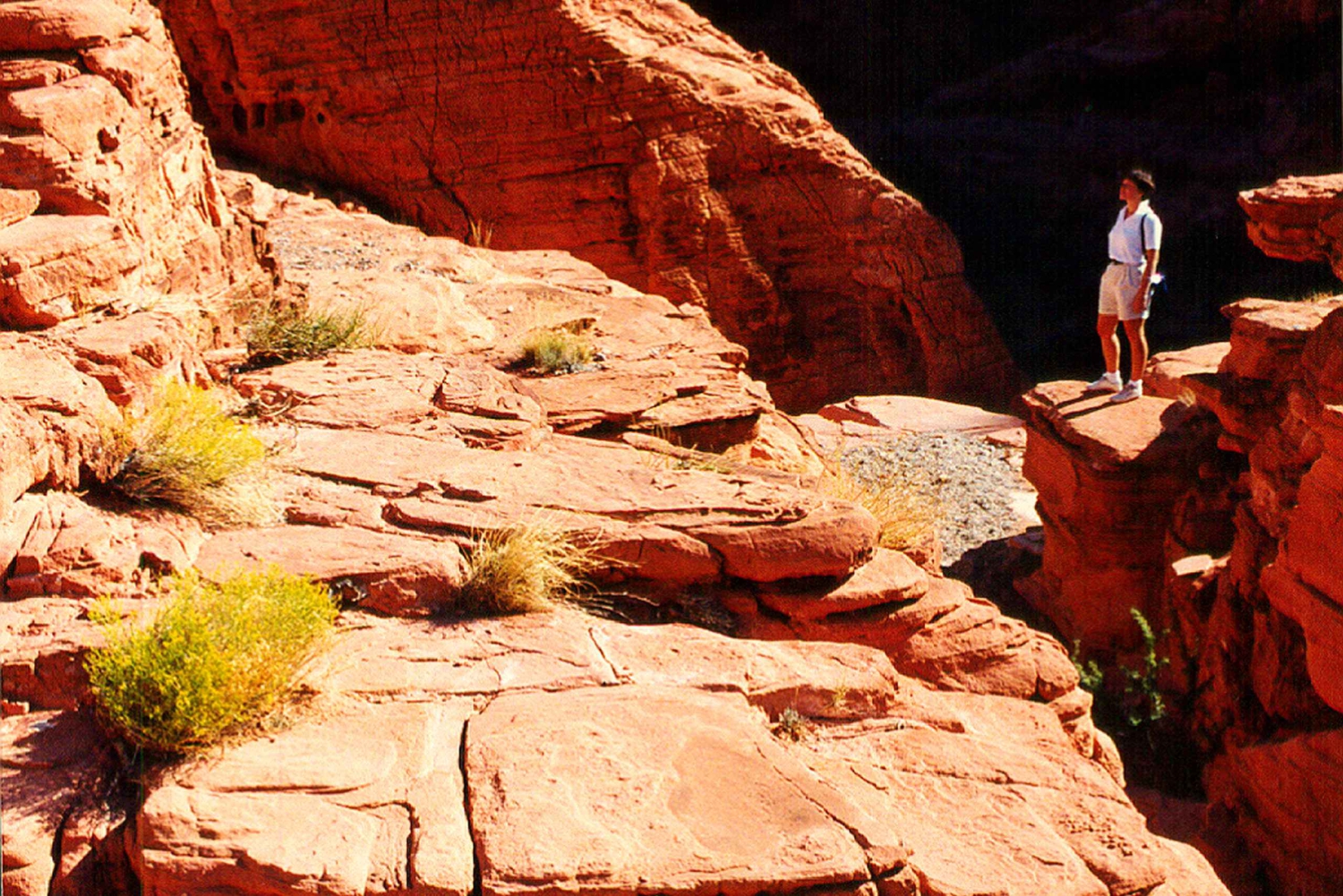 Da Las Vegas: tour della Valley of Fire