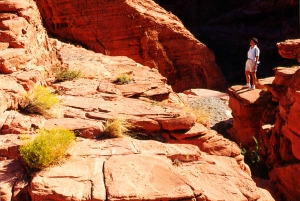 Da Las Vegas: tour della Valley of Fire