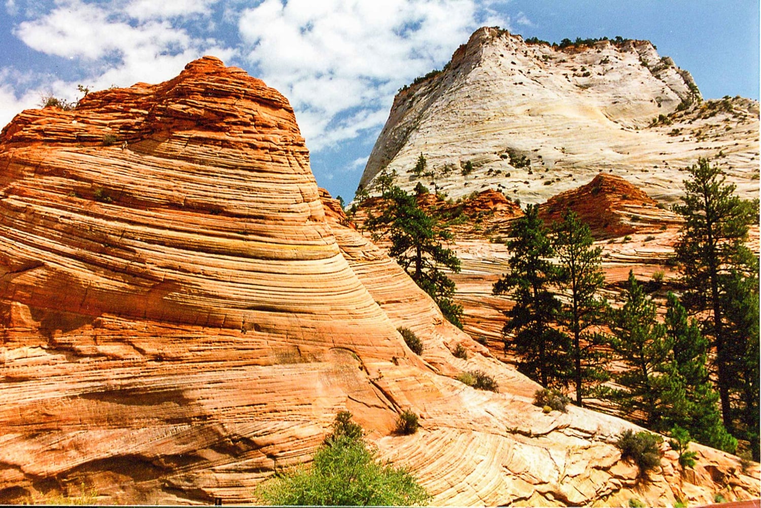 Depuis Las Vegas : aventure VIP en petit groupe au parc national de Zion
