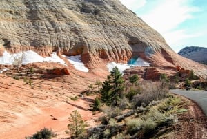Depuis Las Vegas : aventure VIP en petit groupe au parc national de Zion