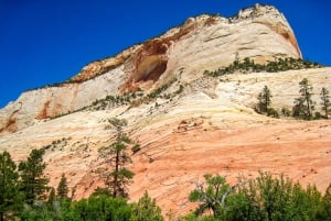 Depuis Las Vegas : aventure VIP en petit groupe au parc national de Zion