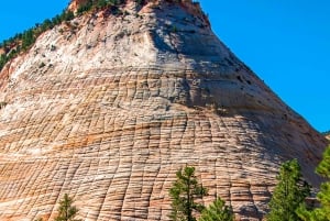 Depuis Las Vegas : aventure VIP en petit groupe au parc national de Zion